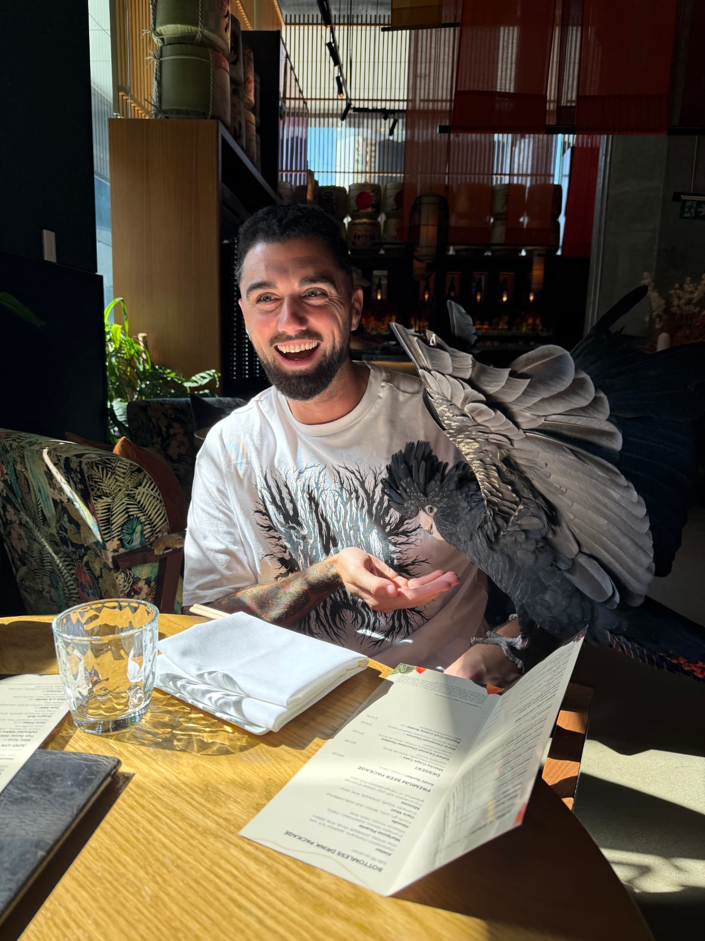 Meeting a feathered friend over lunch in Toronto