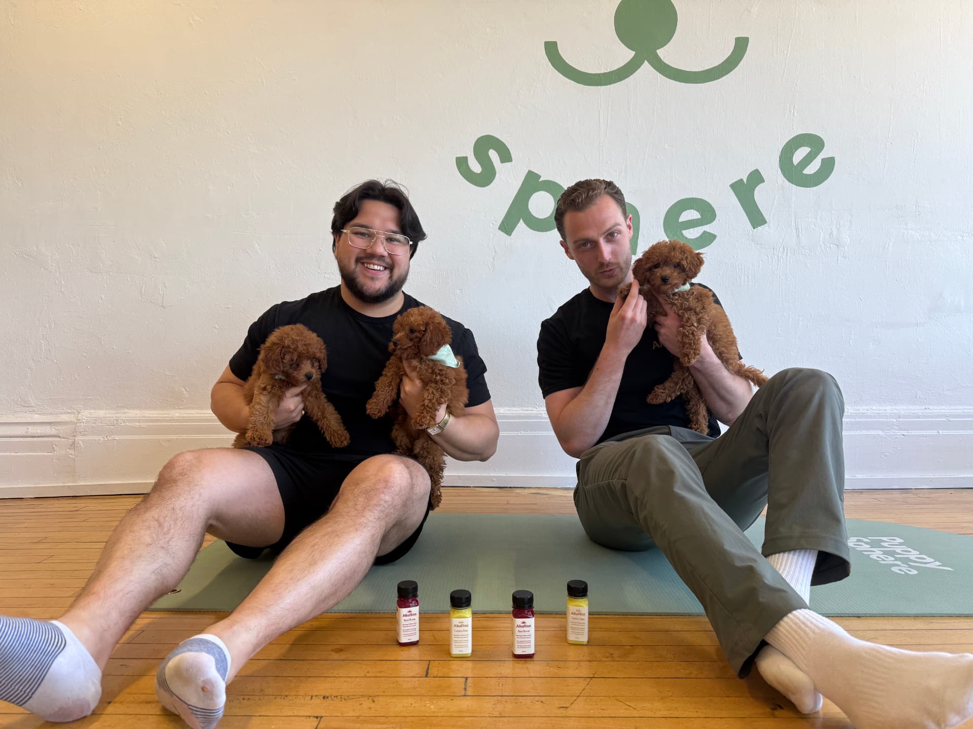 Friends spending time with puppies